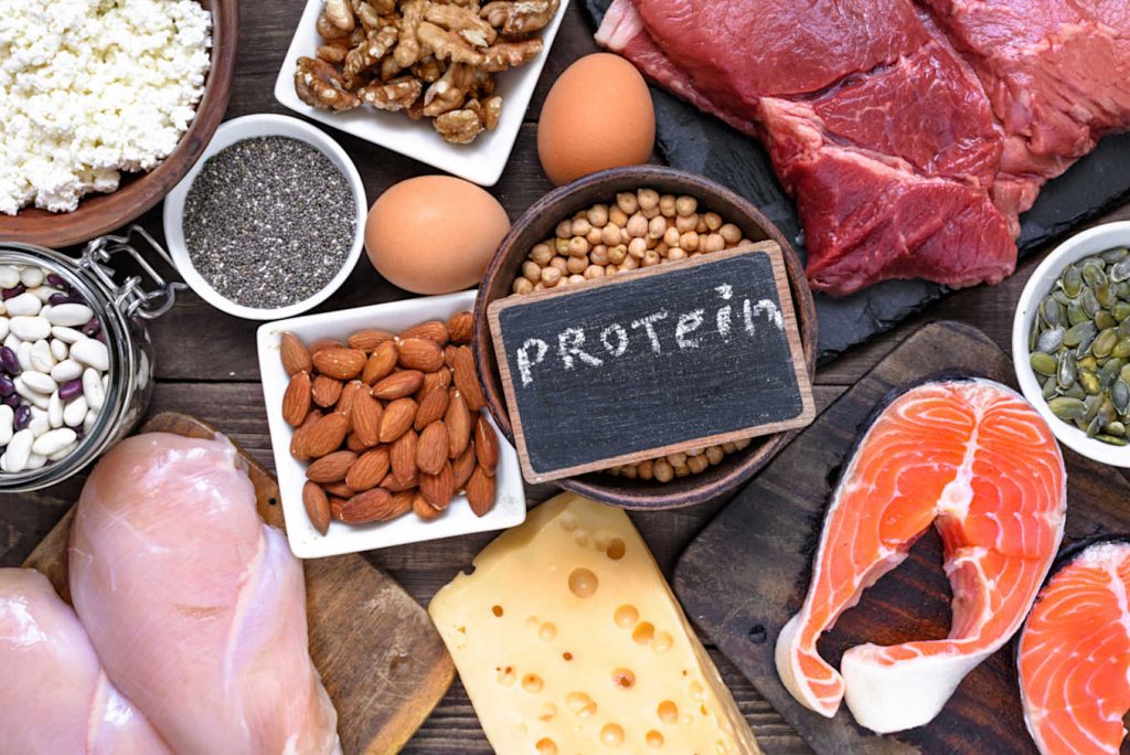 protein diet