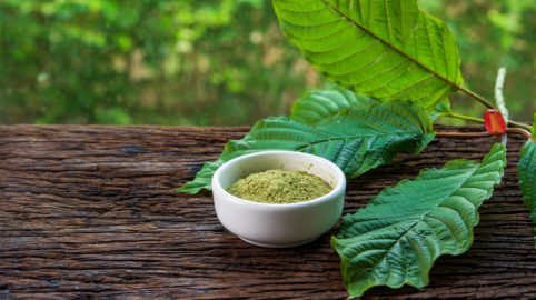 best kratom vendors