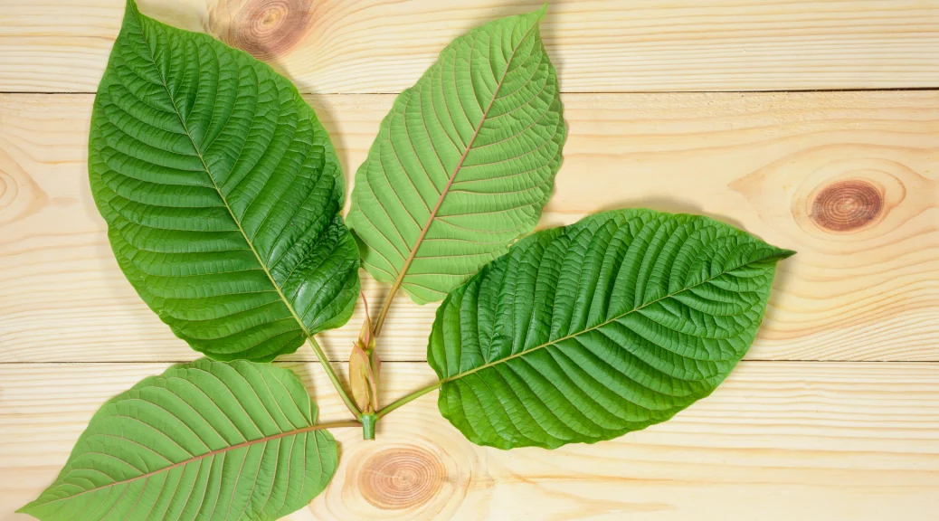 Boost Your Day: How Kratom Can Increase Your Energy Levels